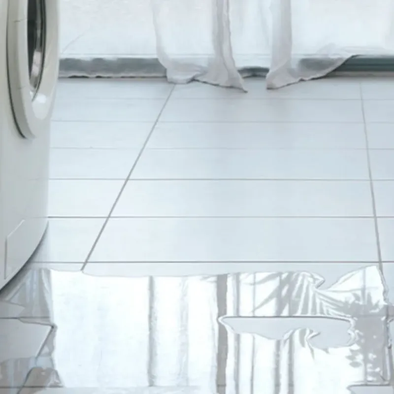Appliance Leak Cleanup in Bessemer, MI