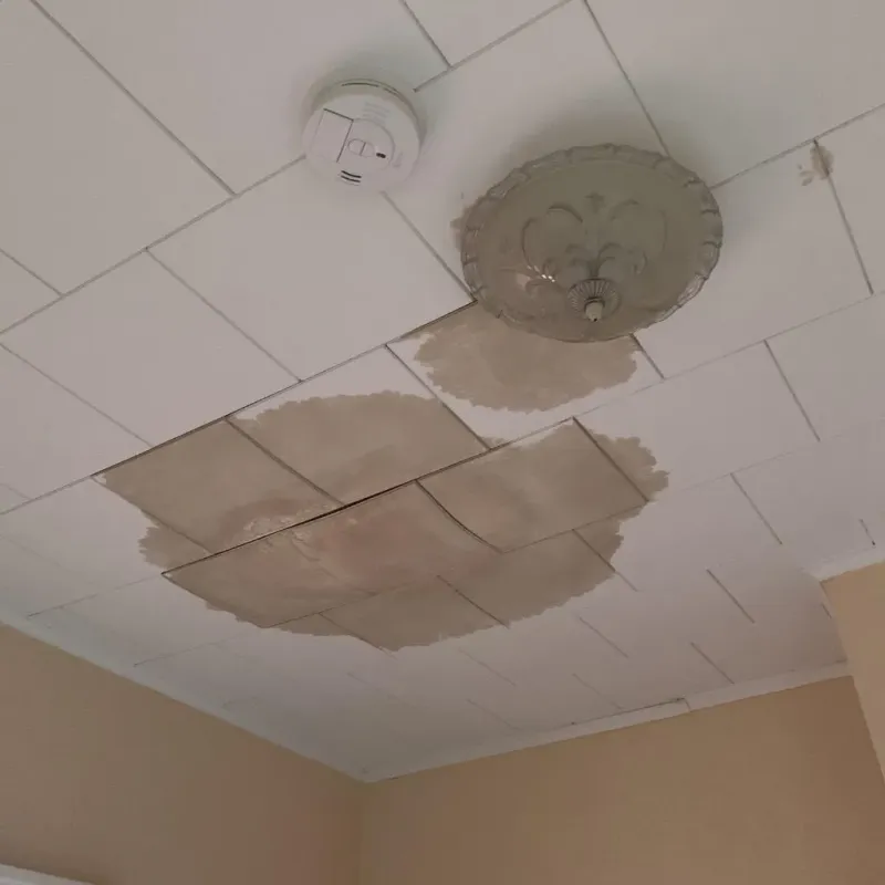 Ceiling Water Damage Repair in Bessemer, MI