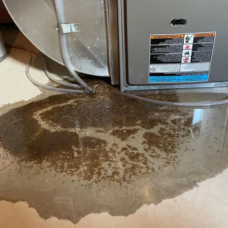 Pipe Burst and Leak Restoration in Bessemer, MI
